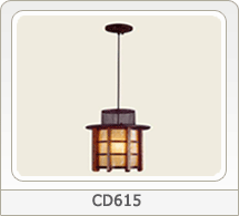 Ceiling Lamps