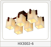 Ceiling Lamps